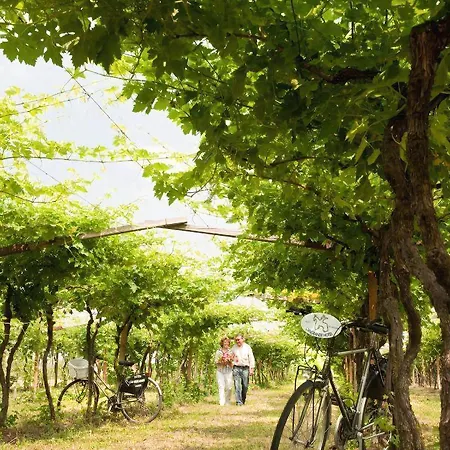 מלון Cangrande לאזיסה