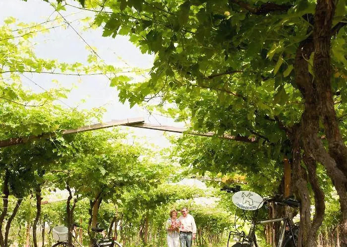 Hotel Cangrande Lazise