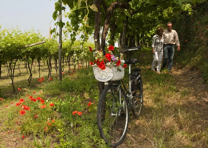 坎格兰德酒店 3* 拉齐塞
