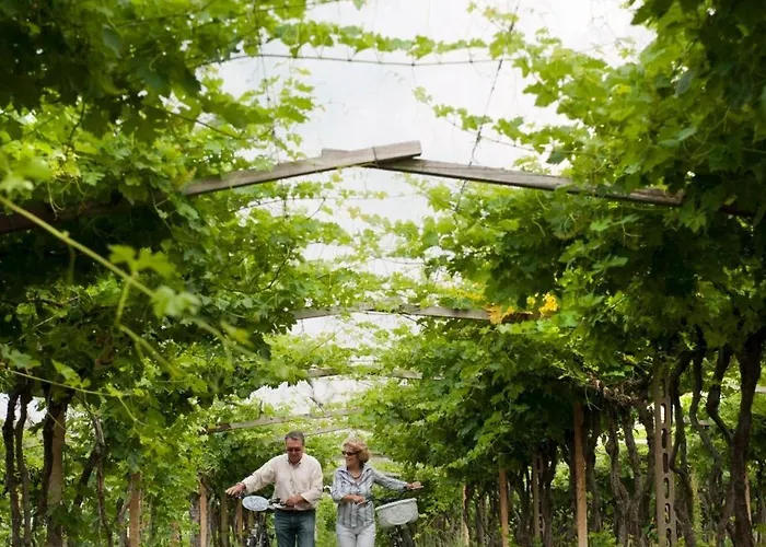 坎格兰德酒店 3* 拉齐塞