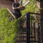 Cangrande 3*