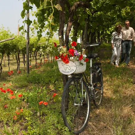 Cangrande 3* Lazise
