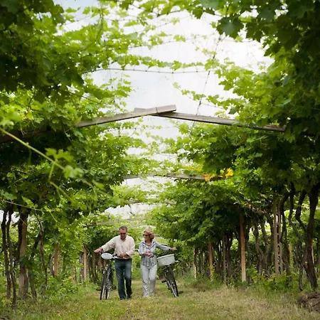 Cangrande 3* 라찌제