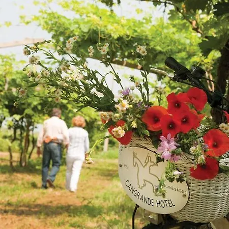 Cangrande 3* 라찌제