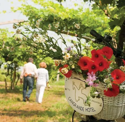 Cangrande 3* Лацизе