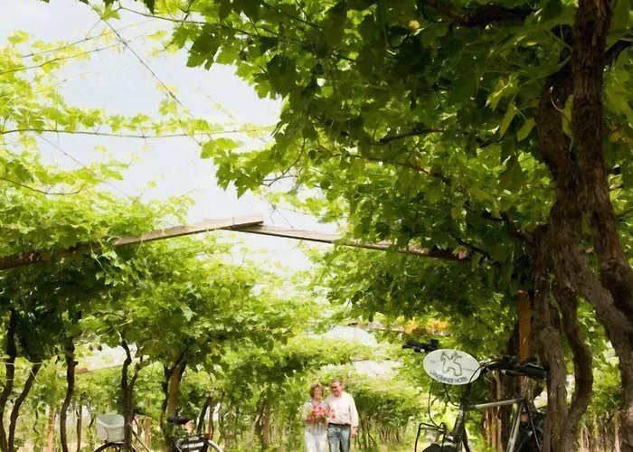 Cangrande ホテル 3*